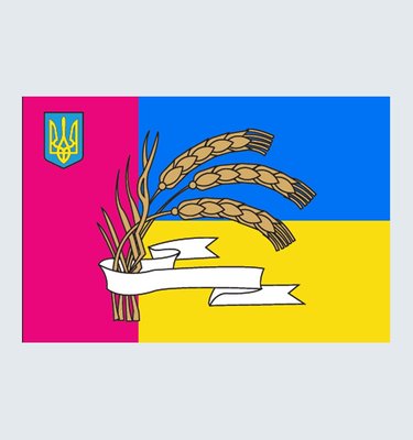 Прапор Жашківської міської територіальної громади U-CH-004 фото