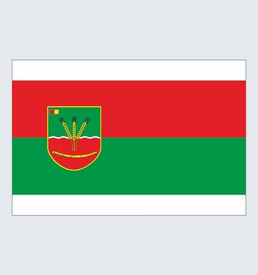 Прапор Голованівського району U-Kv-002 фото