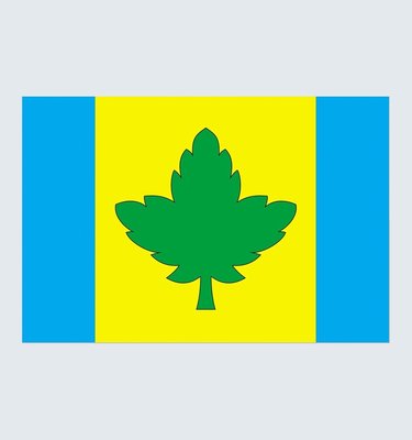 Прапор Яворівського району U-L-045 фото
