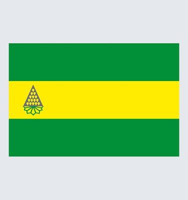 Прапор Зеленодольська U-D-030 фото