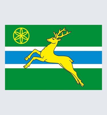 Прапор Самбірського району U-L-039 фото