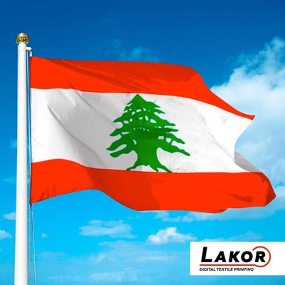 Прапор Лівану S-Cd-009 фото