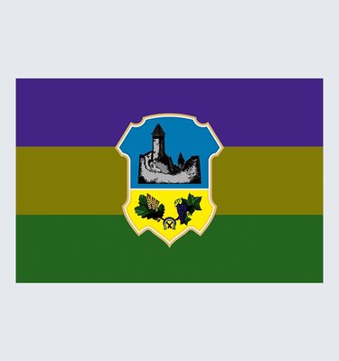 Прапор Ужгородського району U-Z-016 фото
