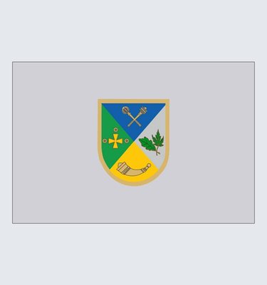 Прапор Шосткинського району U-S-005 фото